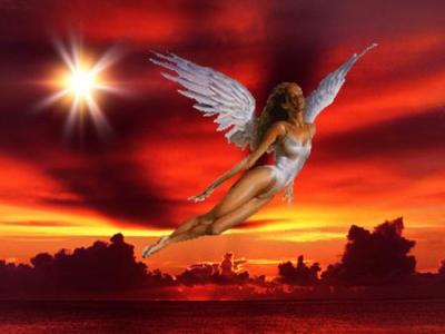 free bible to download free bible to download